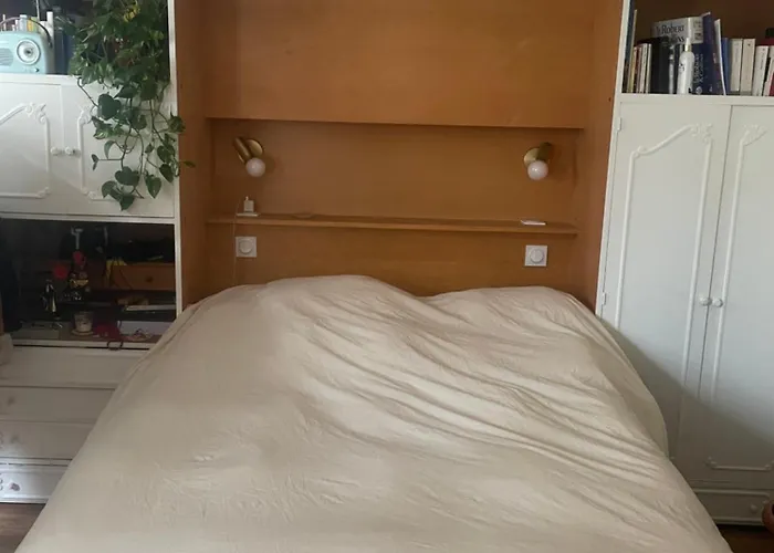 Central, Beautiful, Spacious And Elegant Near Nation, Bastille And La Coulee Verte *